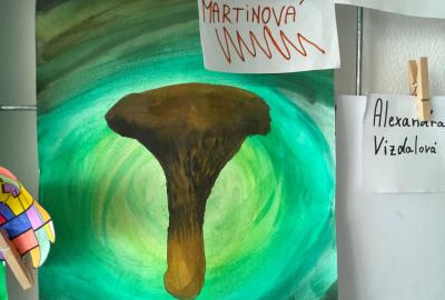 Mezipředmětové vztahy – výtvarná výchova, přírodopis, 4. B, vedla M. Hortová
