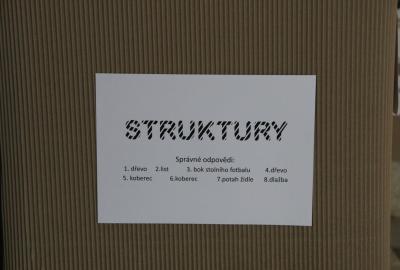 7. a 9.ročník Informatika, projekt digitální grafiky "Struktury"