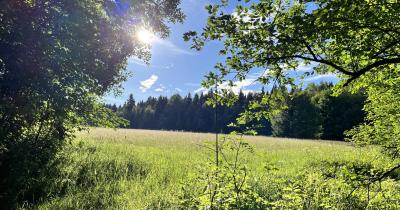 Škola v přírodě, den druhý